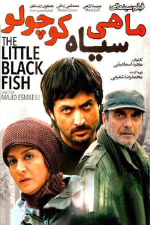 The Little Black Fish's poster