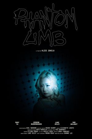 Phantom Limb's poster