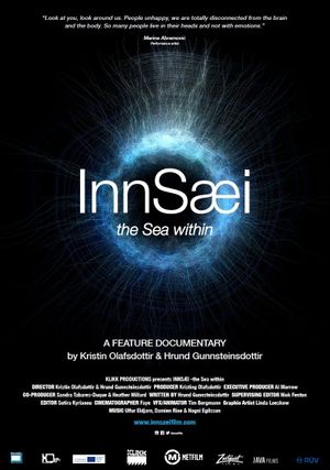 InnSaei's poster