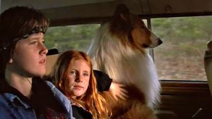 Lassie's poster