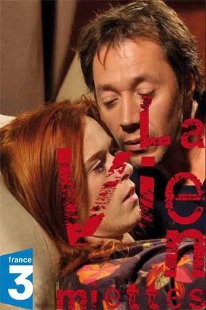 La Vie en miettes's poster