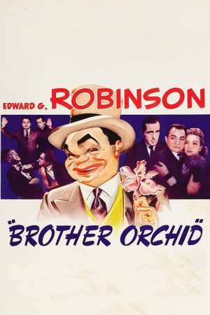 Brother Orchid's poster