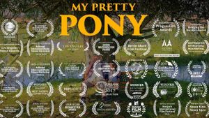 My Pretty Pony's poster