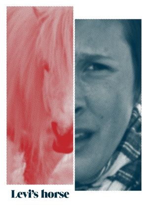 Levi's horse's poster