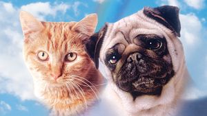 The Adventures of Milo and Otis's poster