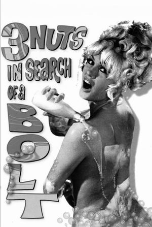 3 Nuts in Search of a Bolt's poster