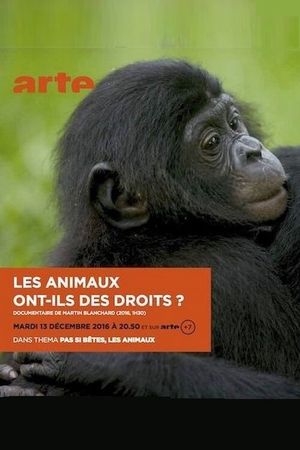 Les animaux ont ils des droits?'s poster image