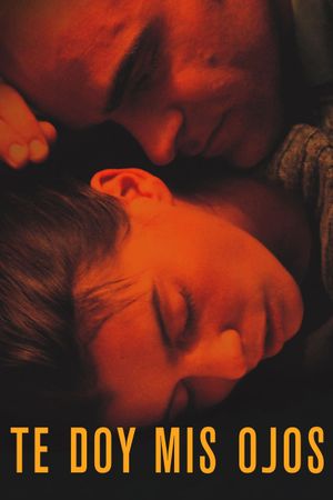 Take My Eyes's poster