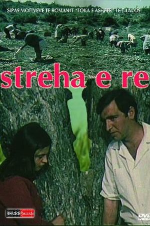 Streha e re's poster