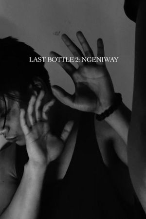 Last Bottle 2: Ngeniway's poster