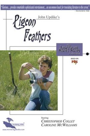 Pigeon Feathers's poster