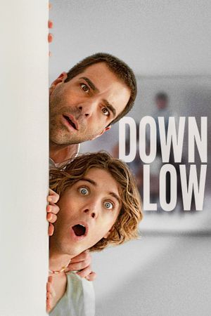 Down Low's poster
