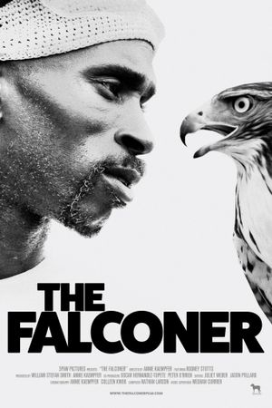 The Falconer's poster