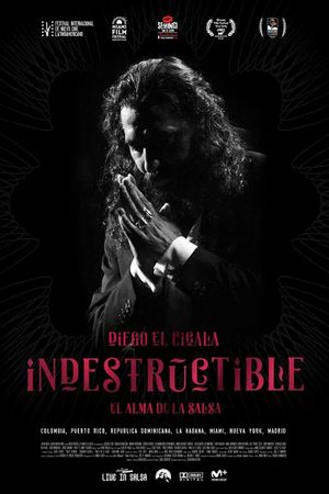 Indestructible. El alma de la salsa's poster