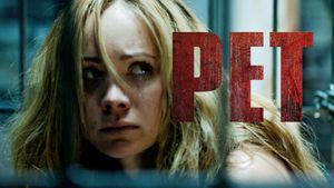 Pet's poster