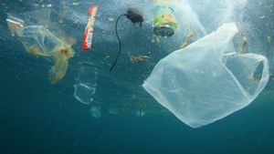 A Plastic Ocean's poster