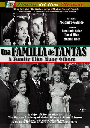 Una familia de tantas's poster