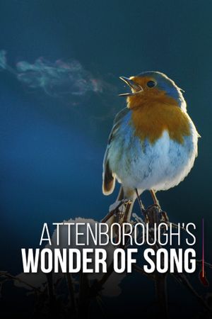 Attenborough's Wonder of Song's poster