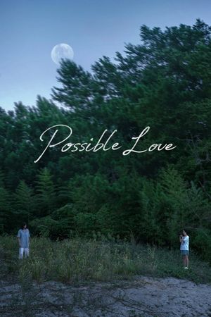 Possible Love's poster