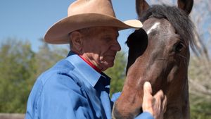 The Cowboy and the Queen's poster