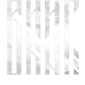 Viking's poster