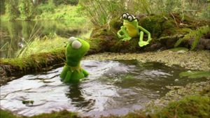 Kermit's Swamp Years's poster
