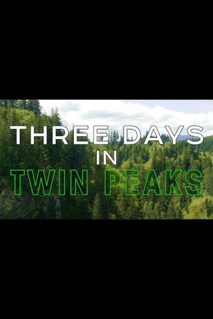 Three Days in Twin Peaks's poster