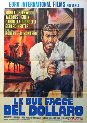 Two Faces of the Dollar's poster