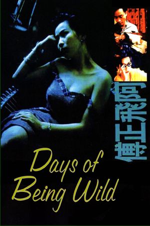 Days of Being Wild's poster