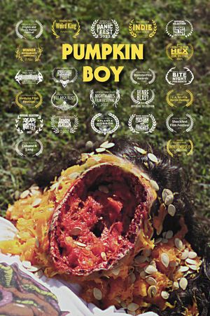 Pumpkin Boy's poster image
