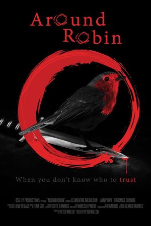 Around Robin's poster