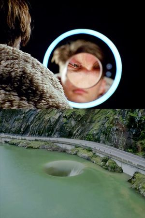 The Canyon's poster image