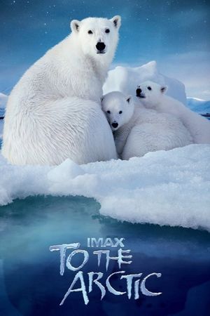 To the Arctic 3D's poster