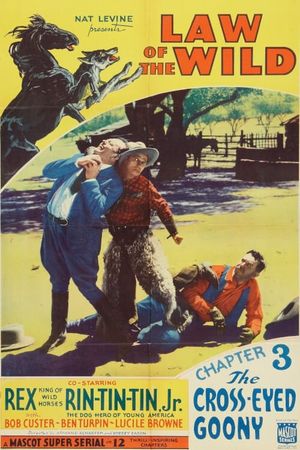 Law of the Wild's poster