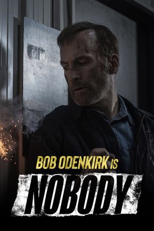 Nobody's poster