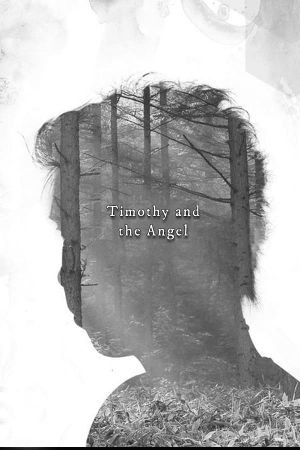 Timothy and the Angel's poster