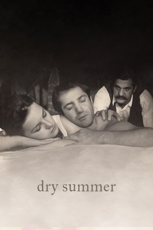 Dry Summer's poster