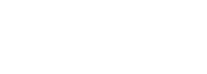 The November Man's poster