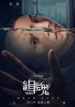 The Soul's poster