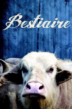 Bestiaire's poster