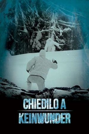 Chiedilo a Keinwunder's poster image