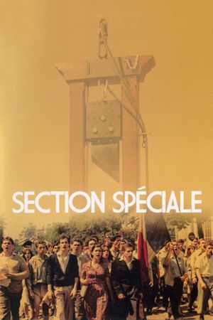 Special Section's poster