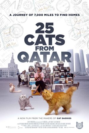 25 Cats from Qatar's poster