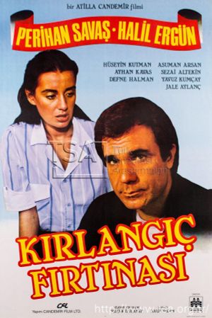 Kirlangiç Firtinasi's poster