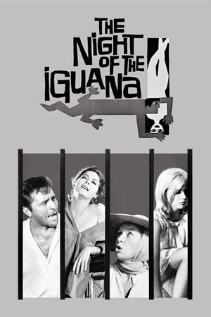 The Night of the Iguana's poster