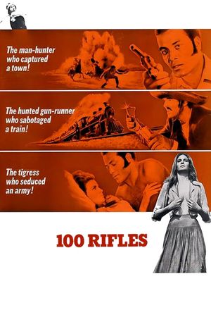 100 Rifles's poster