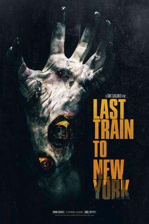 The Last Train to New York's poster image