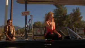 Wild at Heart's poster