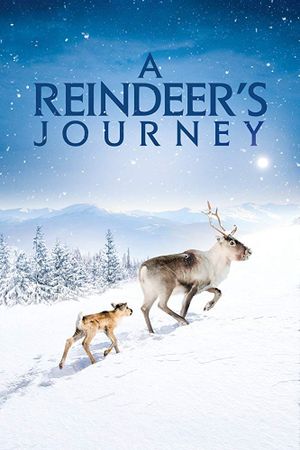 A Reindeer's Journey's poster