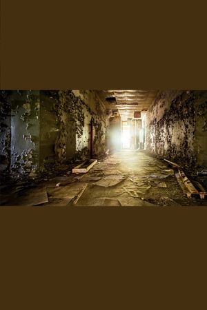 Rückkehr nach Tschernobyl - Das Leben nach dem Super-GAU's poster